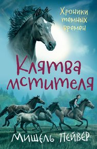 Обложка книги Клятва мстителя