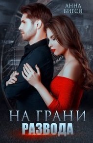 Обложка книги На грани развода