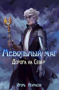 Обложка книги Дорога на Север