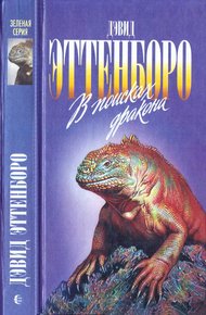 В поисках дракона