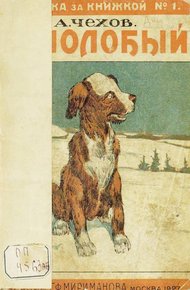 Обложка книги Белолобый