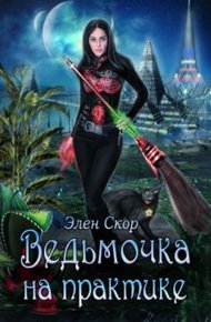 Обложка книги Ведьмочка на практике