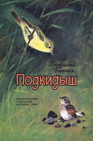 Обложка книги Подкидыш