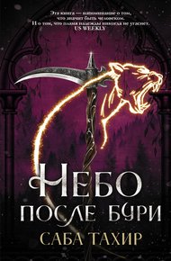 Обложка книги Небо после бури