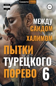 Обложка книги Пытки Турецкого Порево 6. Между Саидом и Халимом
