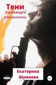 Обложка книги Тени пылающей реальности