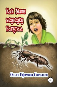 Обложка книги Как Митя медведку напугал