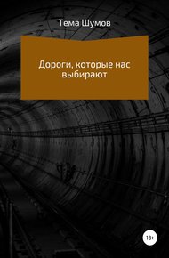 Обложка книги Дороги, которые нас выбирают