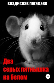 Обложка книги Два серых пятнышка на белом