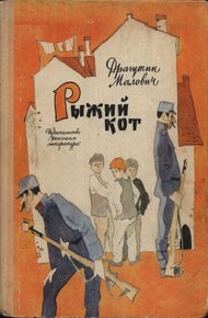 Обложка книги Рыжий кот