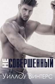 Обложка книги Несовершенный