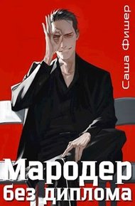 Обложка книги Мародер без диплома