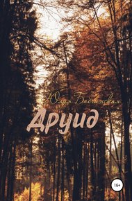 Обложка книги Друид