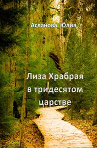 Обложка книги Лиза Храбрая в тридесятом царстве
