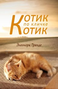Обложка книги Котик по кличке Котик