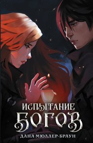 Обложка книги Испытание богов