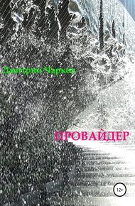 Обложка книги Провайдер