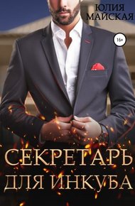 Обложка книги Секретарь для инкуба