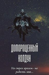 Обложка книги Доморощенный Колдун. Том 1