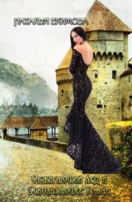 Обложка книги Обжигающий лёд и Ускользающее пламя
