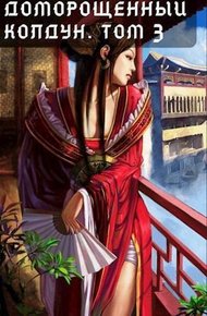 Обложка книги Доморощенный Колдун. Том 3