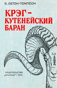Крэг — кутенейский баран