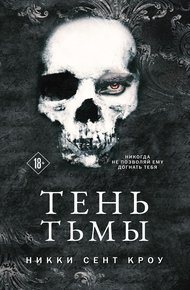 Обложка книги Тень Тьмы