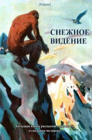 Снежное видение