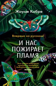 Обложка книги И нас пожирает пламя