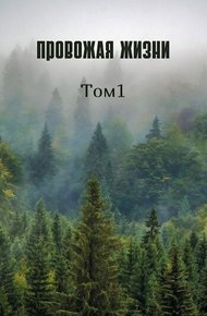 Обложка книги Провожая жизни. Том 1 (СИ)
