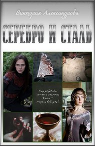 Обложка книги Серебро и сталь
