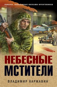 Обложка книги Небесные мстители