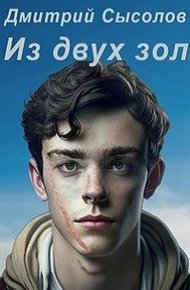 Обложка книги Из двух зол...