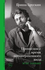 Обложка книги Прошедшее время несовершенного вида… и не только