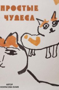 Обложка книги Простые чудеса