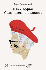 Обложка книги У вас колесо отвалилось