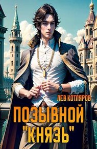 Обложка книги Позывной «Князь»