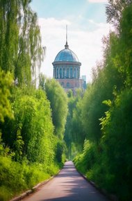 Обложка книги Рыцарь, и его проблемы