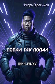 Обложка книги Шин