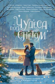 Обложка книги Чудеса под снегом. Рассказы о любви и волшебстве в большом городе