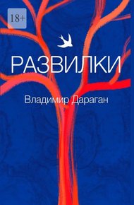 Обложка книги Развилки