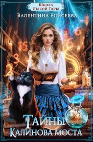 Обложка книги Школа Лысой Горы. Тайны Калинова моста.