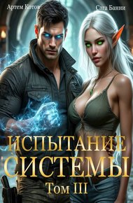 Обложка книги Испытание Системы III