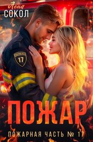 Обложка книги Пожар