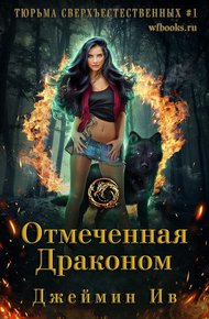 Обложка книги Отмеченная драконом