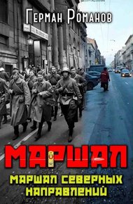 Обложка книги Маршал северных направлений