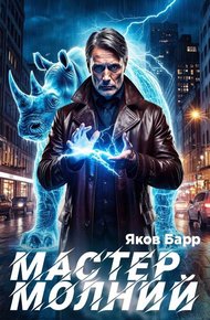 Обложка книги Мастер молний. Книга I