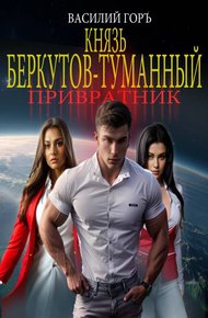 Обложка книги Князь Беркутов-Туманный. Привратник (Щегол-9)
