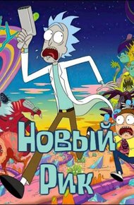 Обложка книги Новый Рик