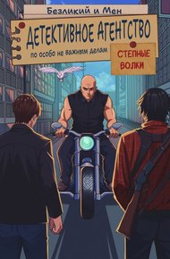 Обложка книги Детективное агентство по особо не важным делам. Степные волки.